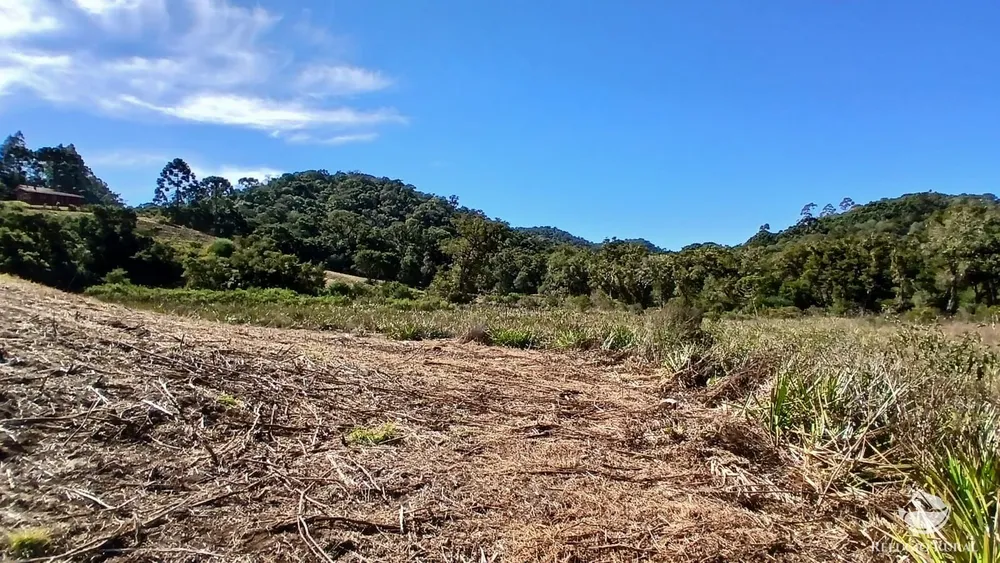 Chácara, 2 hectares - Foto 9