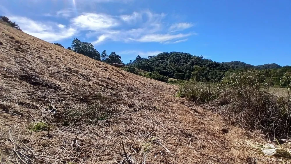 Chácara, 2 hectares - Foto 12
