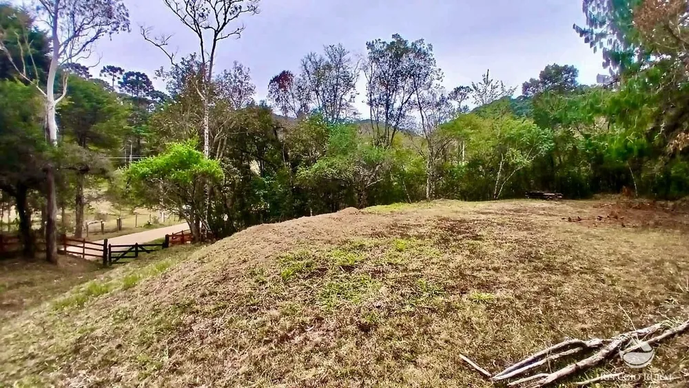 Sítio, 4 hectares - Foto 1