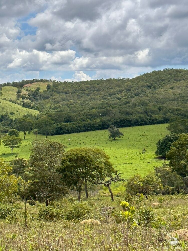 Fazenda à venda com 6 quartos, 14689400m² - Foto 2