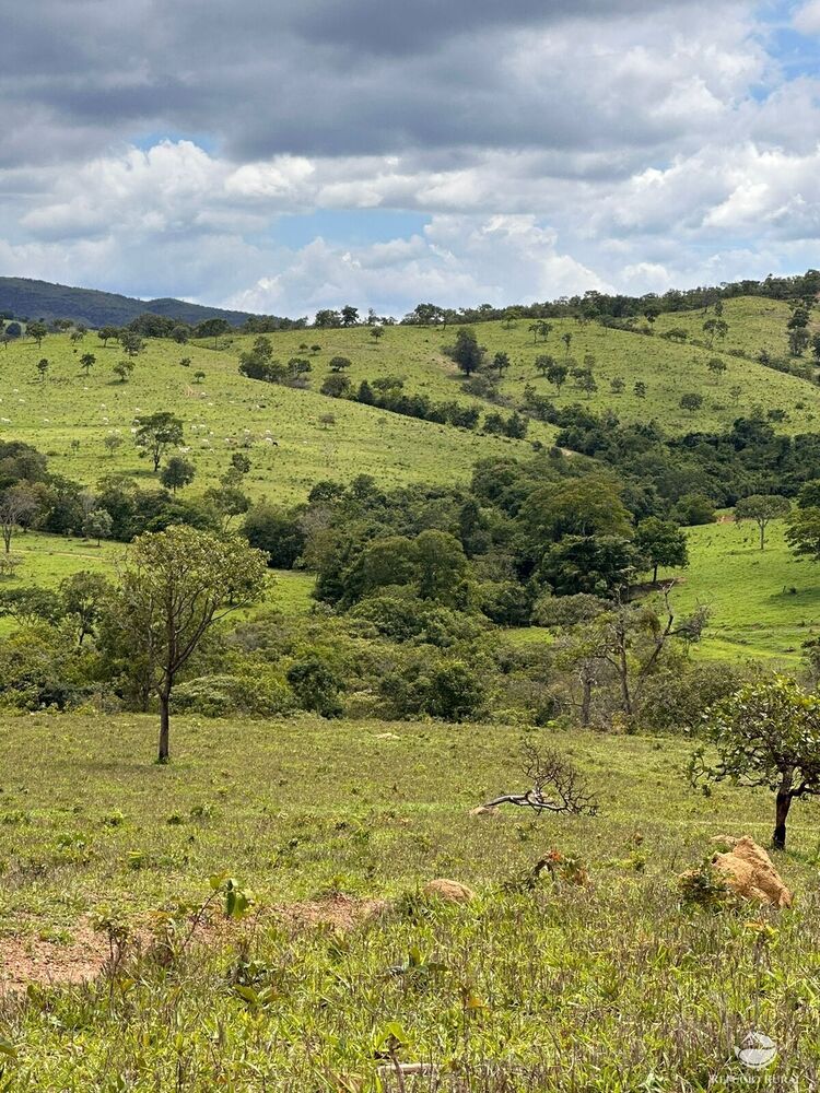 Fazenda à venda com 6 quartos, 14689400m² - Foto 3
