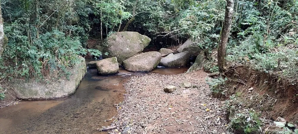Chácara, 3 hectares - Foto 10