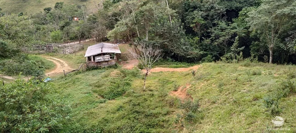 Chácara, 3 hectares - Foto 7