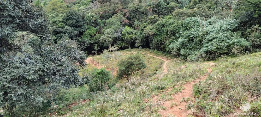Chácara, 3 hectares - Foto 13