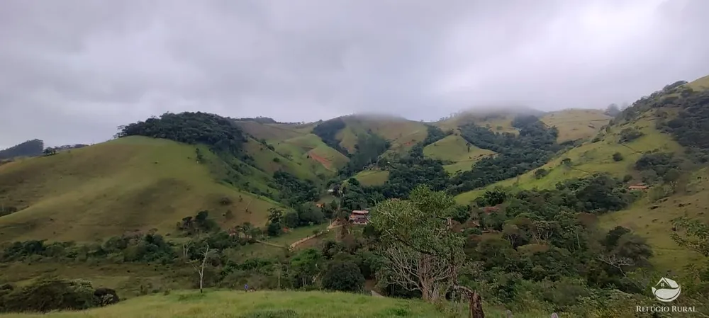 Chácara, 3 hectares - Foto 8