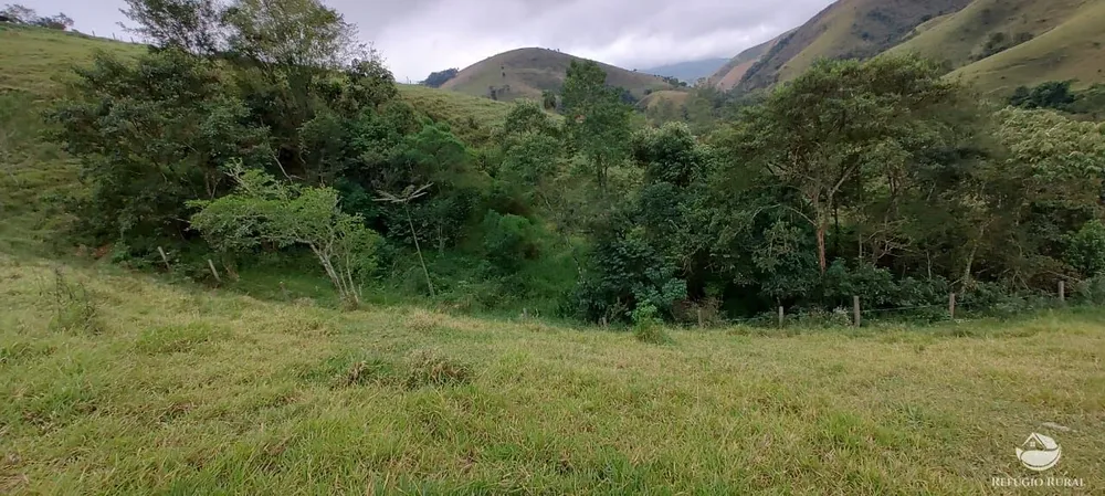 Chácara, 3 hectares - Foto 3
