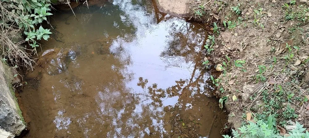 Chácara, 3 hectares - Foto 12