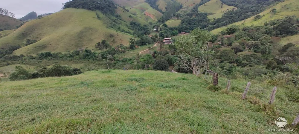 Chácara, 3 hectares - Foto 6