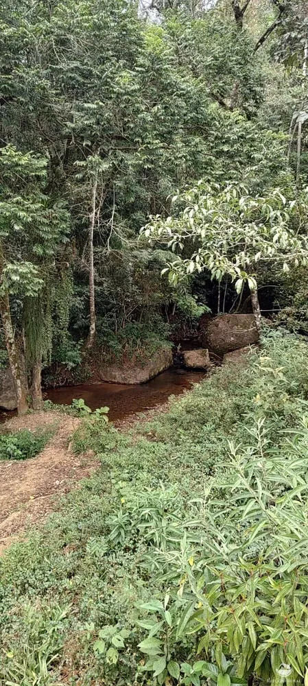 Chácara, 3 hectares - Foto 11