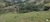 Chácara, 1 quarto, 3 hectares - Foto 2