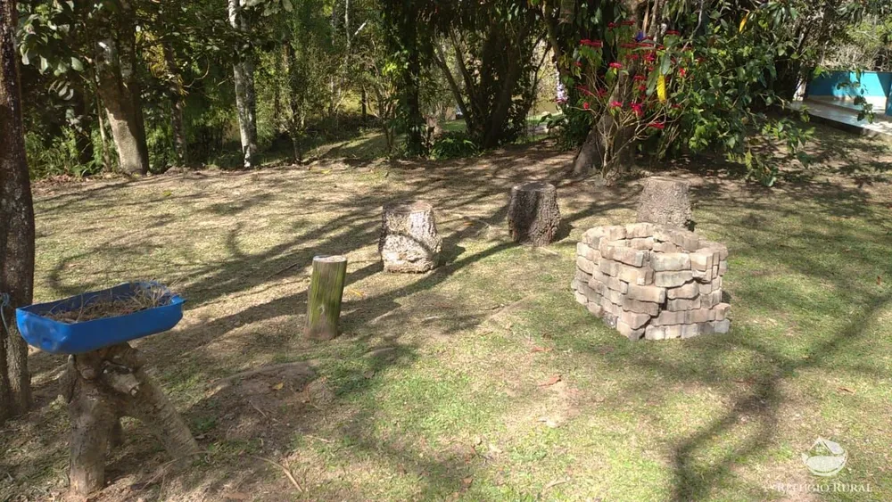 Sítio, 7 hectares - Foto 8