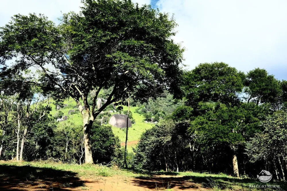 Terreno, 2 hectares - Foto 9