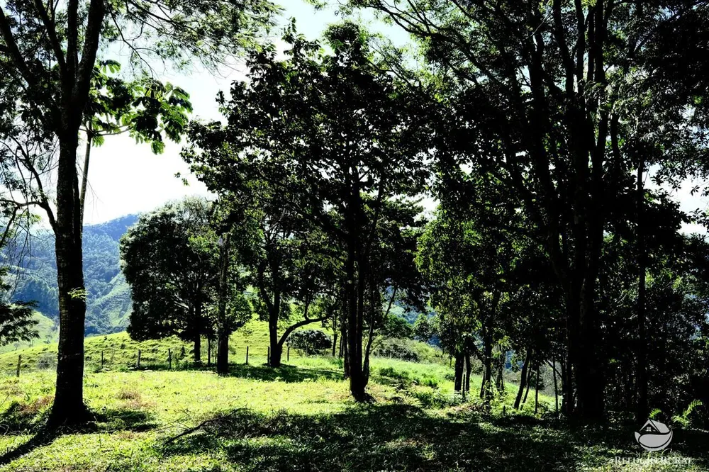 Terreno, 2 hectares - Foto 3