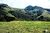 Terreno, 2 hectares - Foto 2