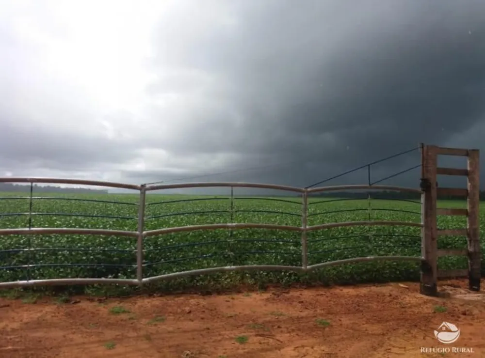 Fazenda, 8000 hectares - Foto 8