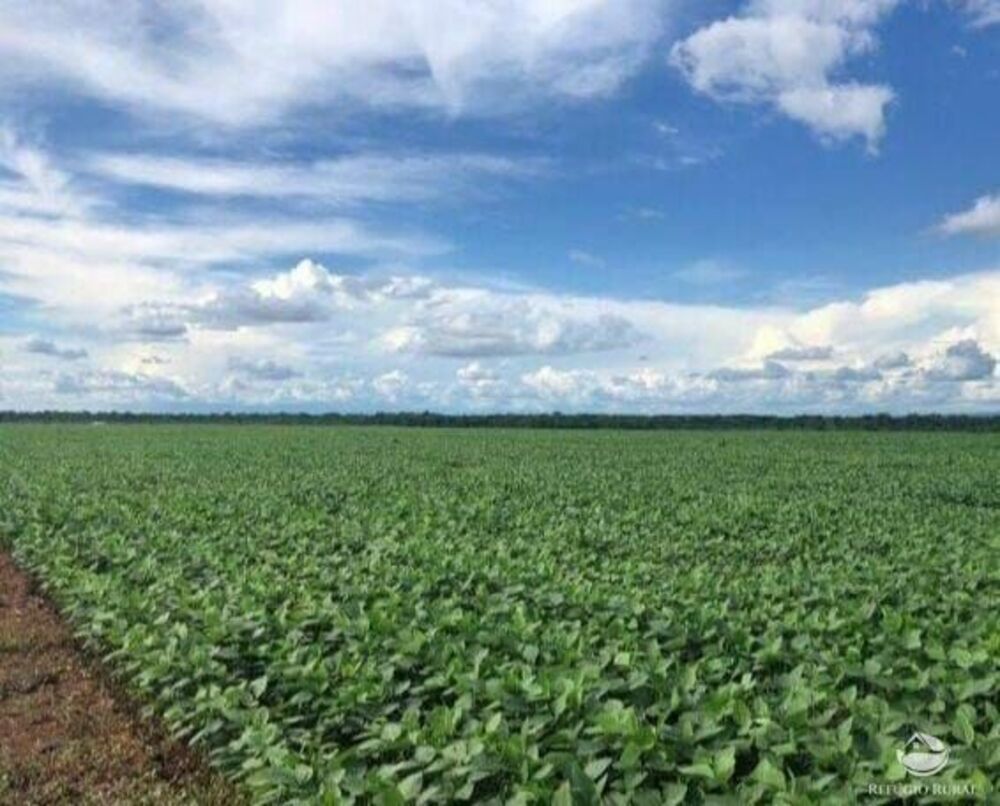 Fazenda, 8000 hectares - Foto 2