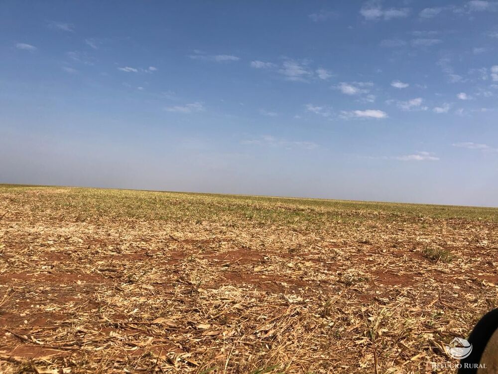 Fazenda, 8000 hectares - Foto 4