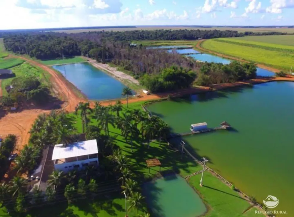 Fazenda, 8000 hectares - Foto 2