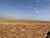 Fazenda-Sítio-Chácara, 8000 hectares - Foto 4