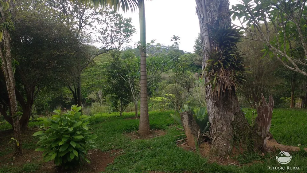 Chácara, 7723 m² - Foto 6