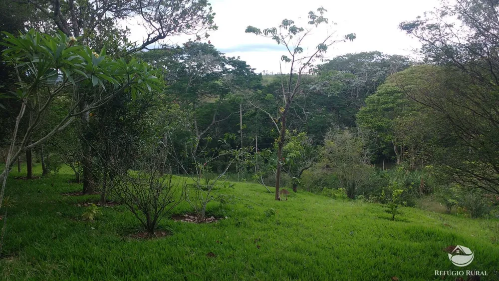 Chácara, 7723 m² - Foto 5