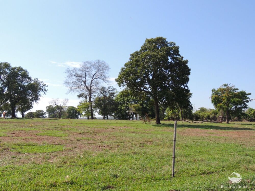 Fazenda, 2420 hectares - Foto 1
