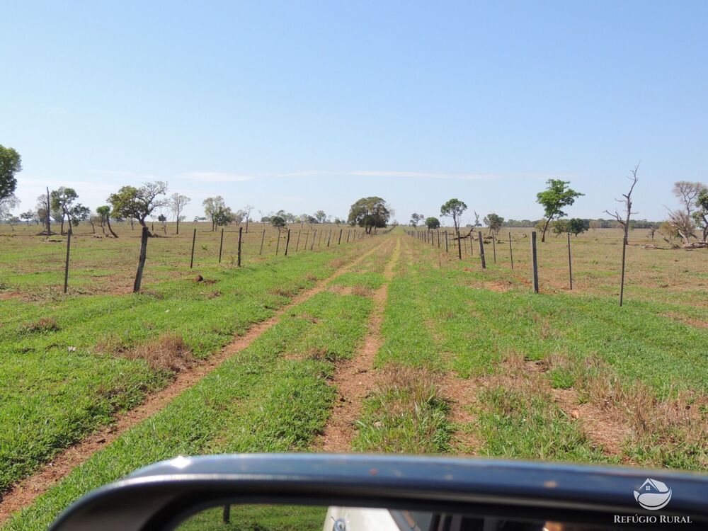 Fazenda, 2420 hectares - Foto 3