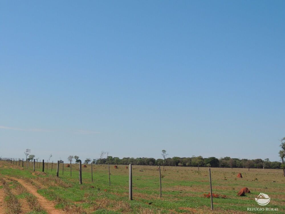 Fazenda, 2420 hectares - Foto 4