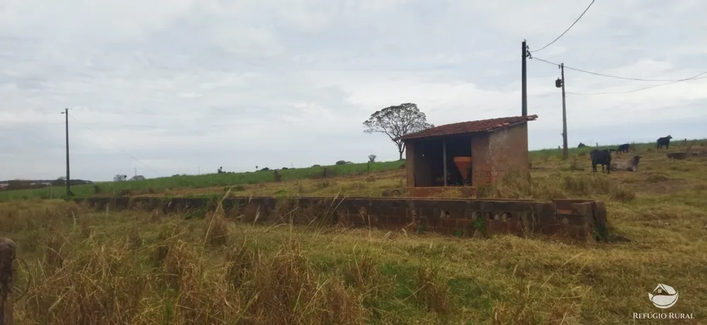 Fazenda, 143264 hectares - Foto 4