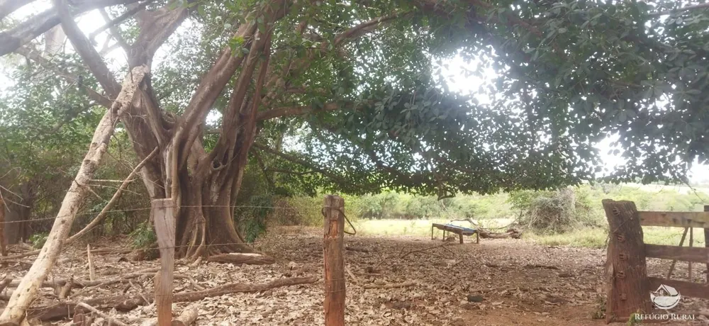 Fazenda, 143264 hectares - Foto 8