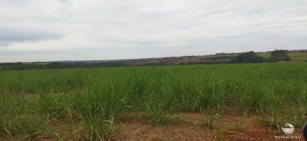 Fazenda, 143264 hectares - Foto 12