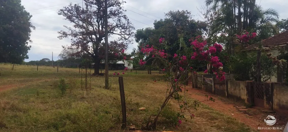 Fazenda, 143264 hectares - Foto 9