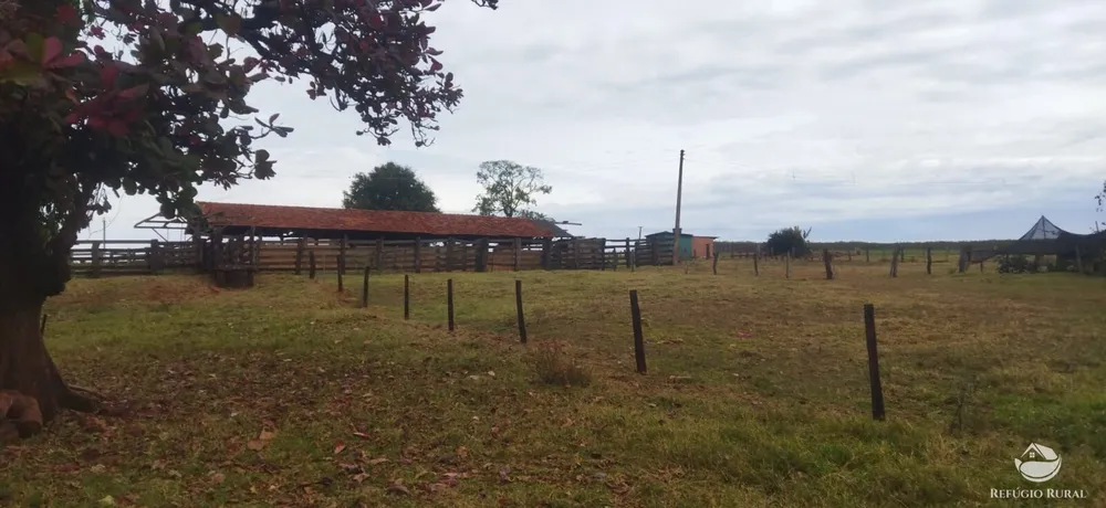 Fazenda, 143264 hectares - Foto 2