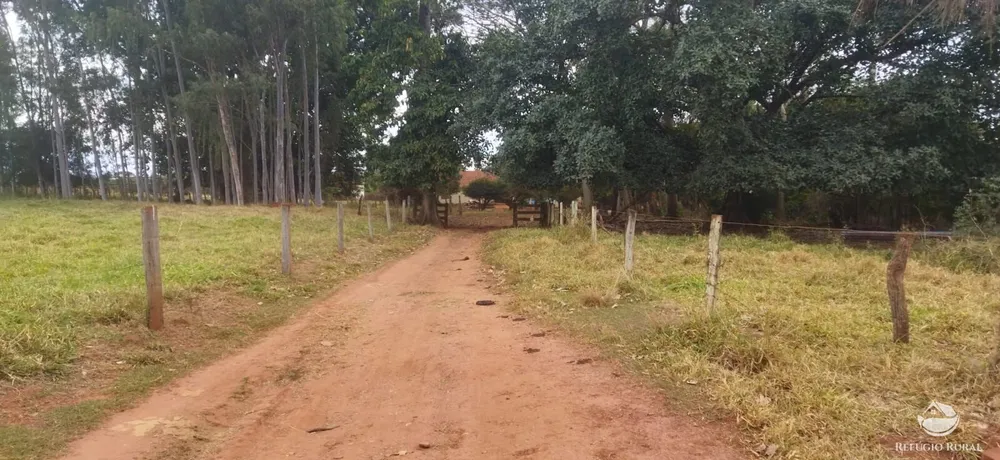 Fazenda, 143264 hectares - Foto 6