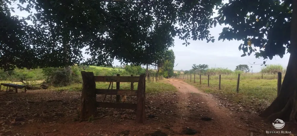 Fazenda, 143264 hectares - Foto 7