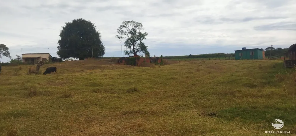 Fazenda, 143264 hectares - Foto 3