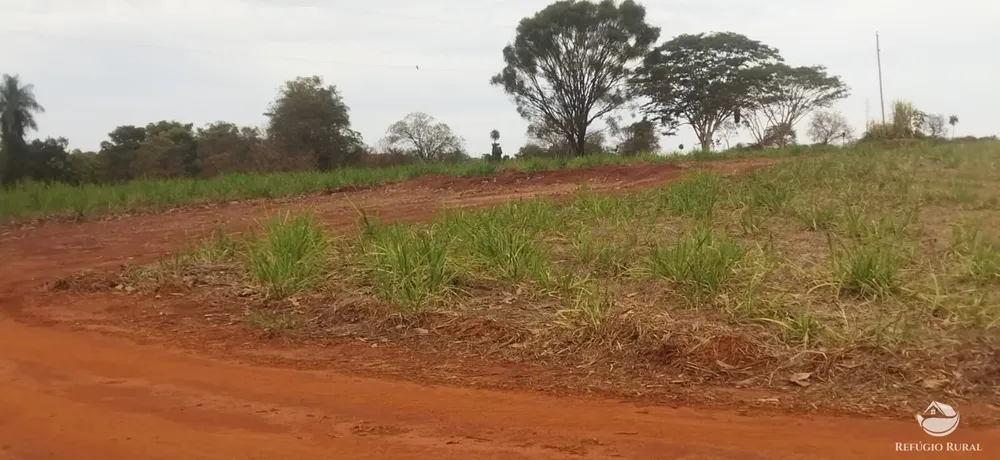 Fazenda, 143264 hectares - Foto 11