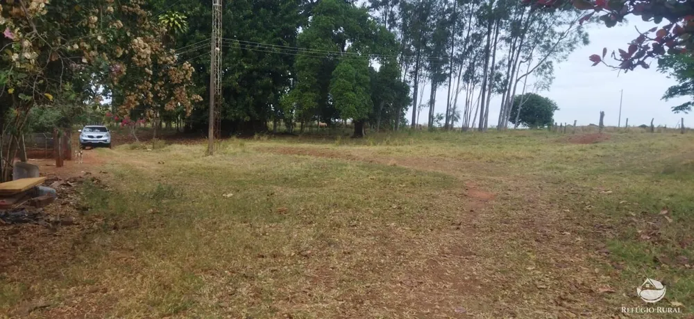 Fazenda, 143264 hectares - Foto 1