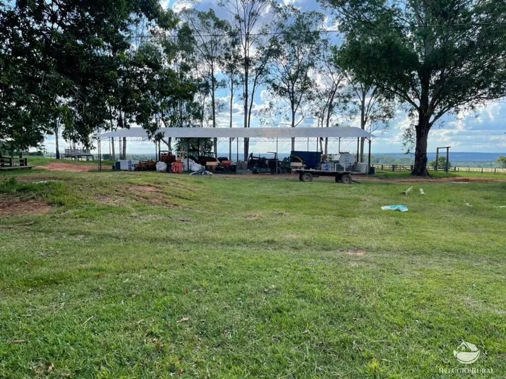 Fazenda, 7826 hectares - Foto 8