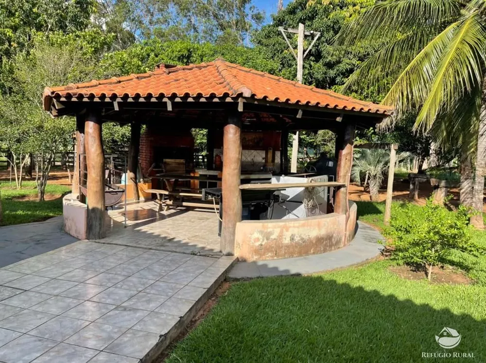 Fazenda, 7826 hectares - Foto 3