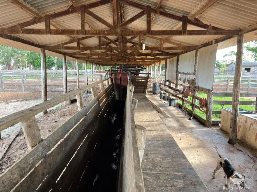 Fazenda à venda com 7 quartos, 78260000m² - Foto 4