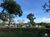 Fazenda-Sítio-Chácara, 7826 hectares - Foto 1