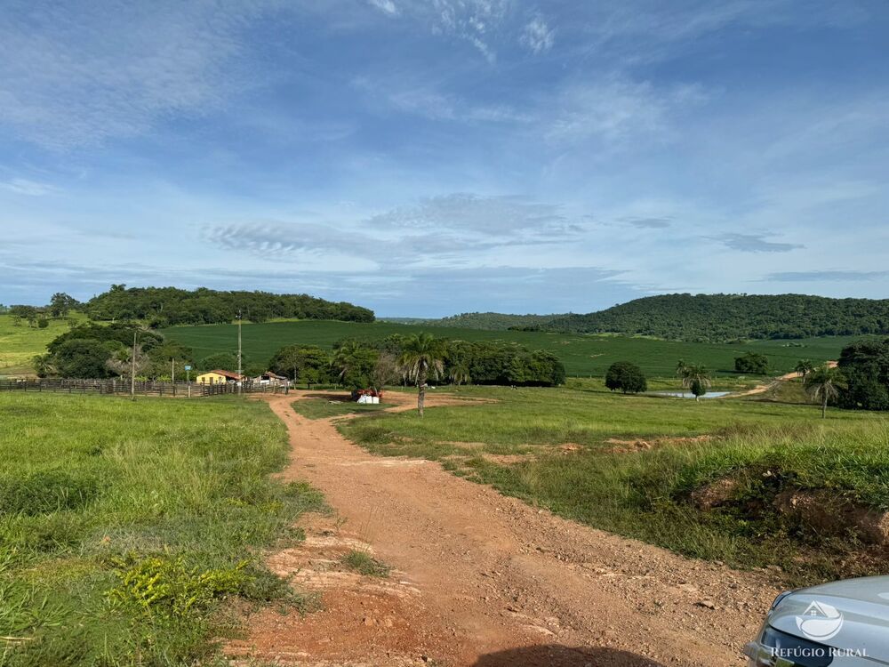 Fazenda, 678 hectares - Foto 5