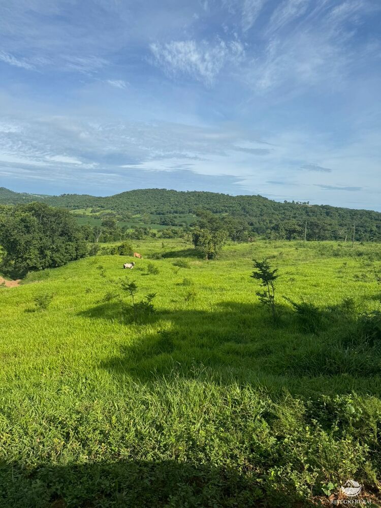 Fazenda, 678 hectares - Foto 3