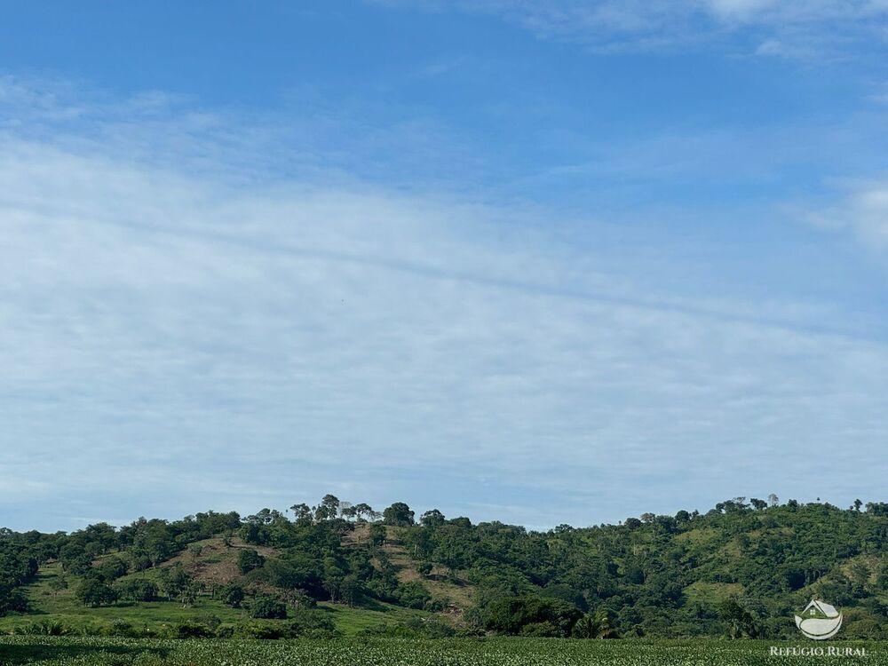 Fazenda, 678 hectares - Foto 6