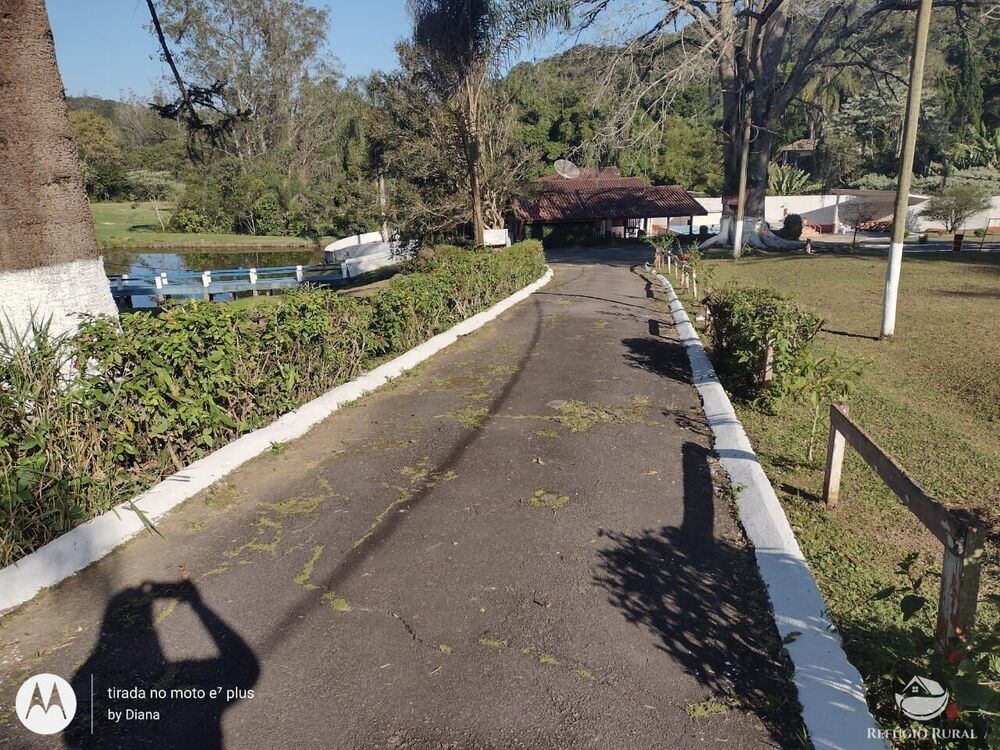 Sítio, 5 hectares - Foto 19