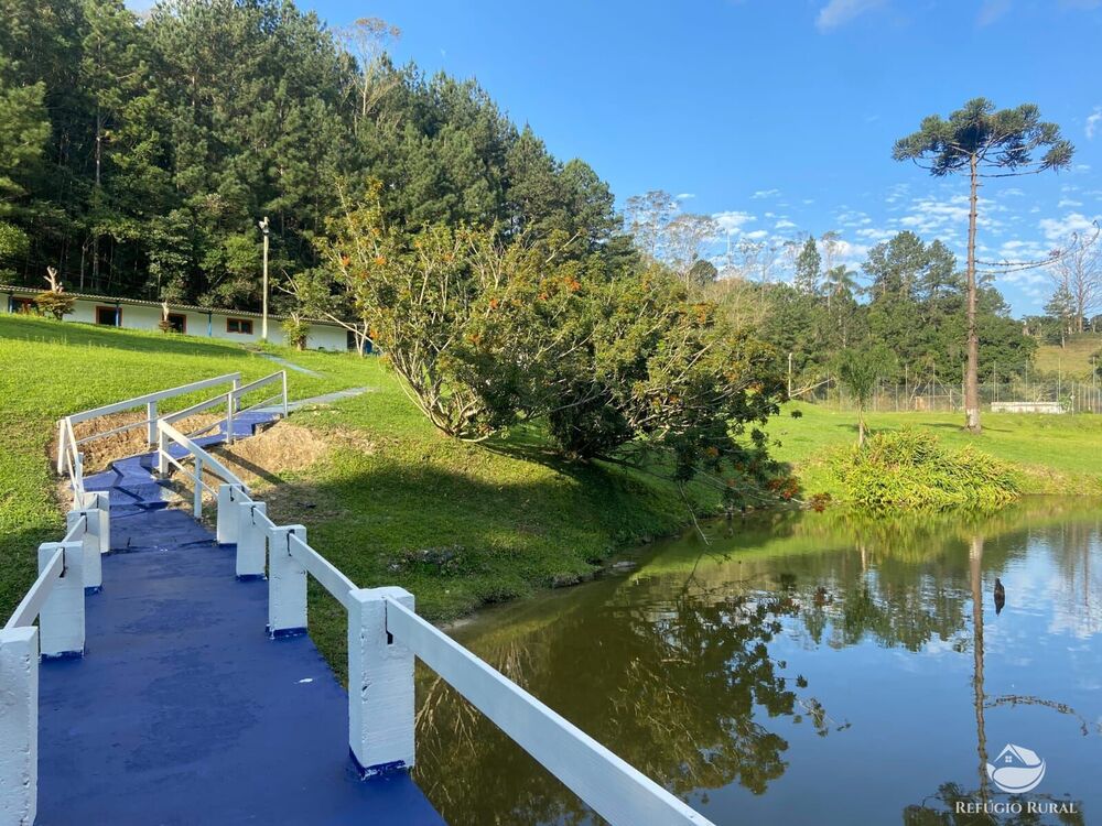 Sítio, 5 hectares - Foto 15