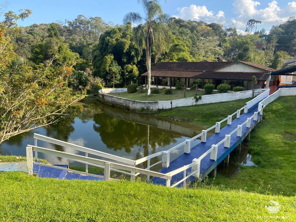 Sítio, 5 hectares - Foto 2