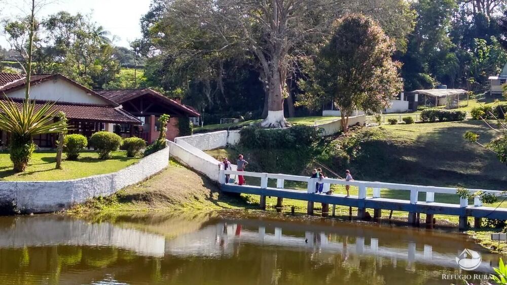 Sítio, 5 hectares - Foto 13