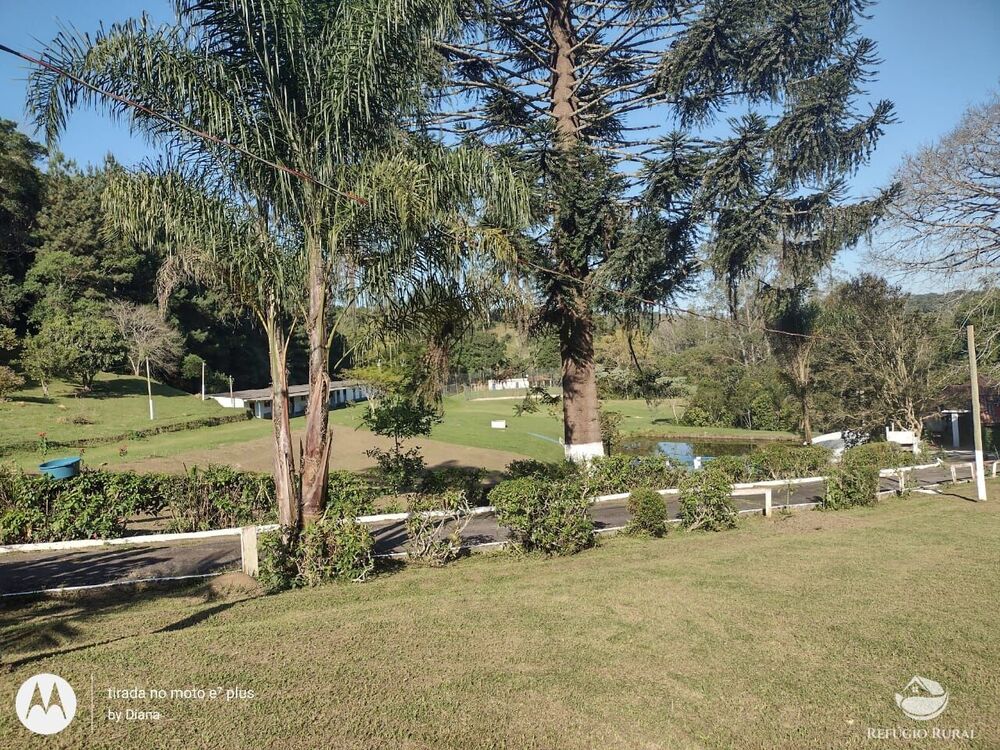 Sítio, 5 hectares - Foto 17